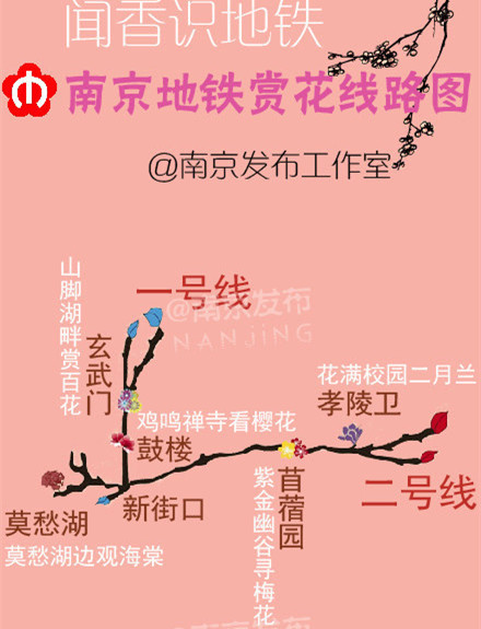 南京地铁赏花线路图