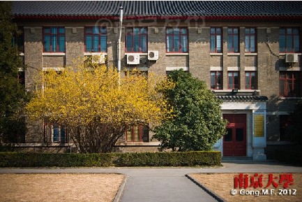 南京大学